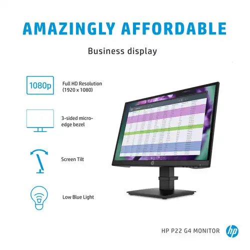 HP P22 G4 22-inch IPS FHD Monitor